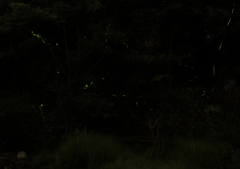 f:id:hiroshisj:20120612154414j:image