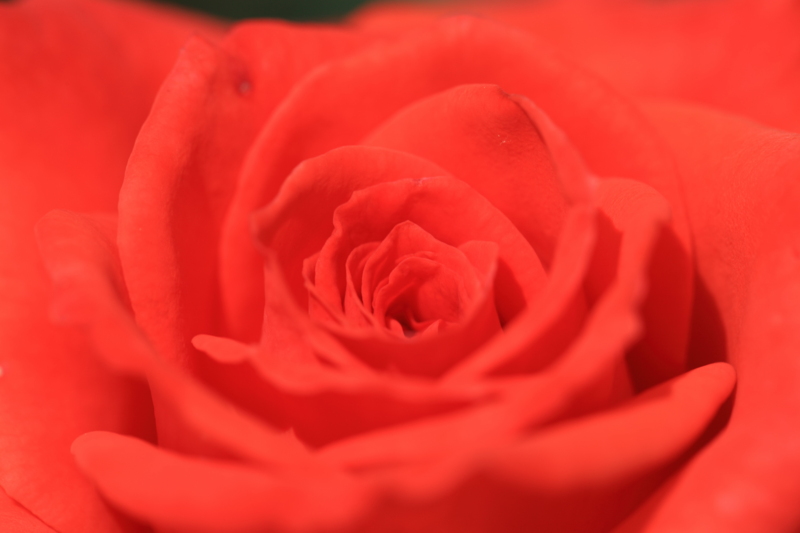 f:id:hiroshisj:20120619153253j:image