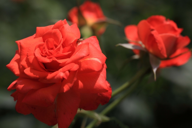 f:id:hiroshisj:20120619153315j:image