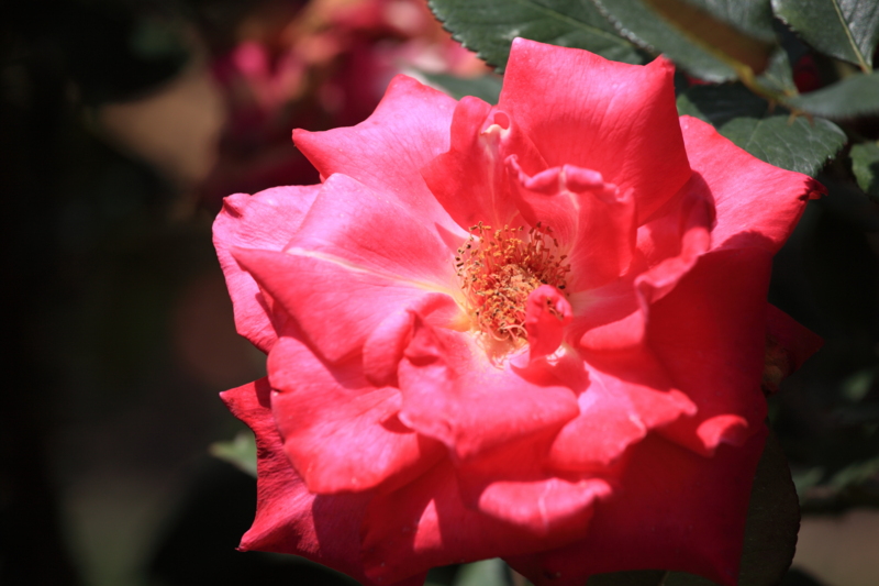 f:id:hiroshisj:20120619154504j:image