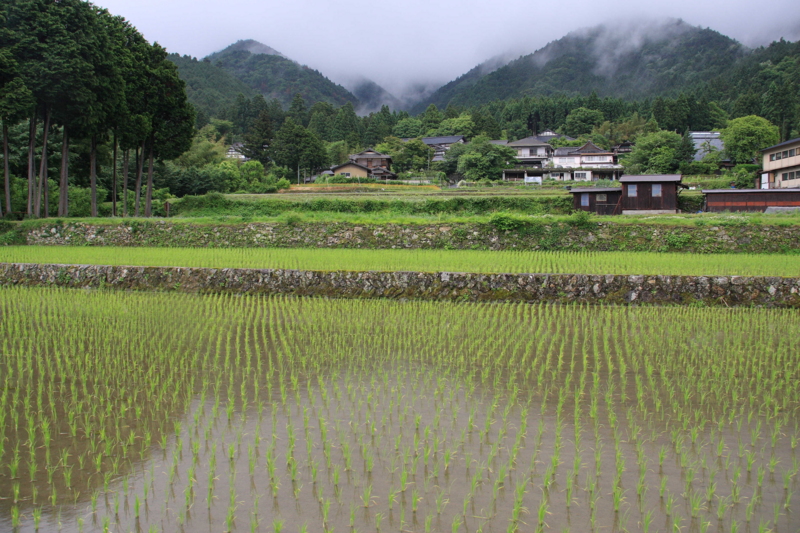 f:id:hiroshisj:20120620151720j:image f:id:hiroshisj:20120620151720j:image