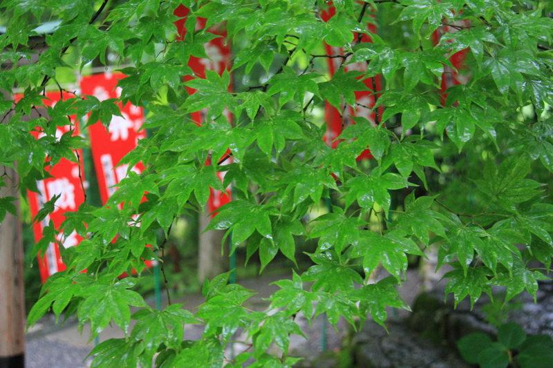 f:id:hiroshisj:20120620151732j:image f:id:hiroshisj:20120620151732j:image