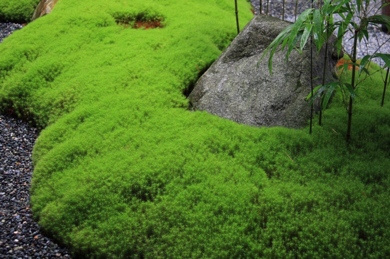 f:id:hiroshisj:20120620151754j:image f:id:hiroshisj:20120620151754j:image