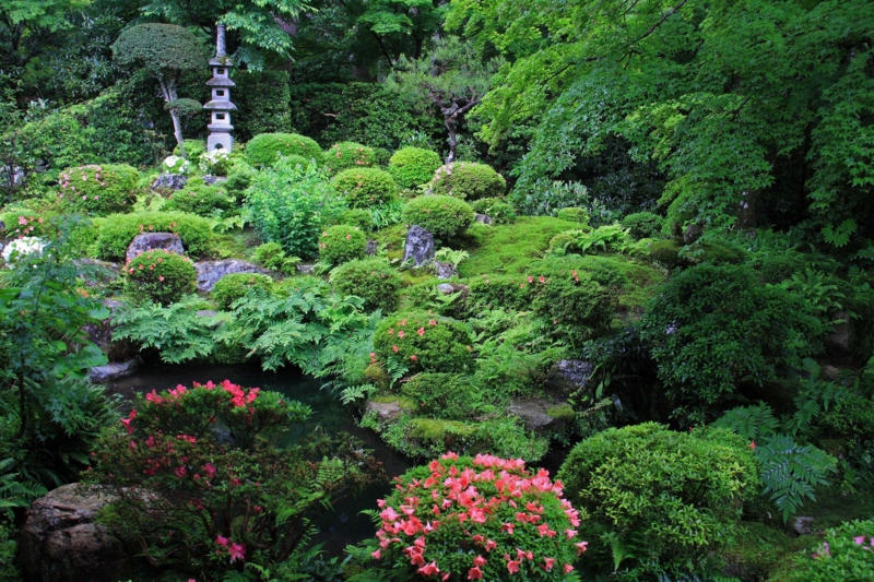 f:id:hiroshisj:20120620151805j:image f:id:hiroshisj:20120620151805j:image