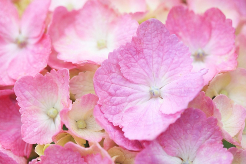 f:id:hiroshisj:20120625173621j:image