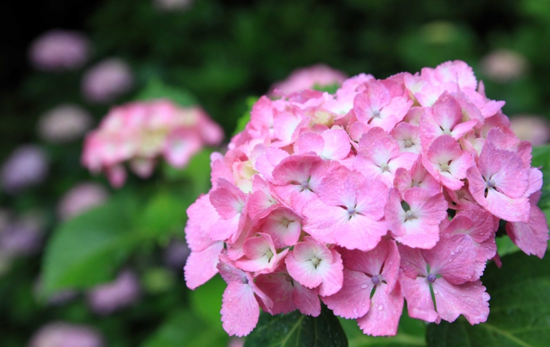 f:id:hiroshisj:20120625180314j:image