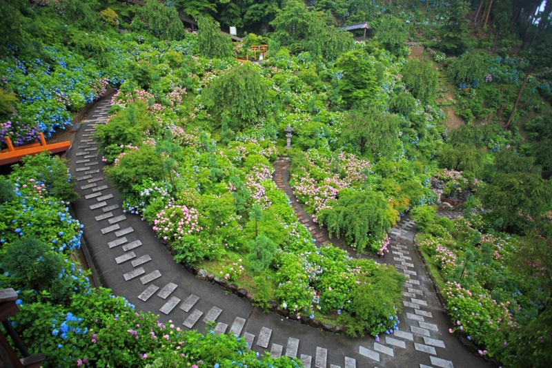 f:id:hiroshisj:20120625200809j:image f:id:hiroshisj:20120625200809j:image