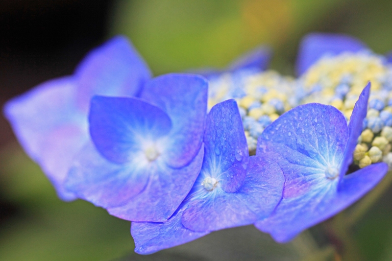 f:id:hiroshisj:20120625201000j:image f:id:hiroshisj:20120625201000j:image