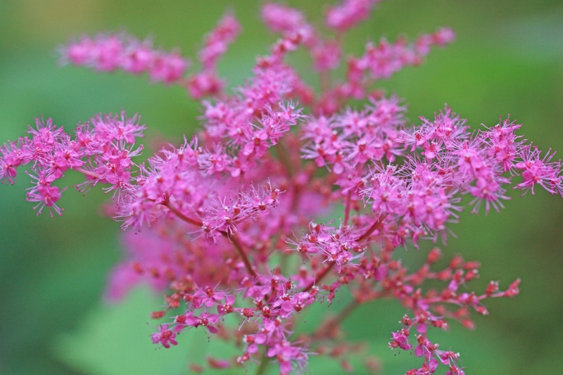 f:id:hiroshisj:20120702214150j:image f:id:hiroshisj:20120702214150j:image