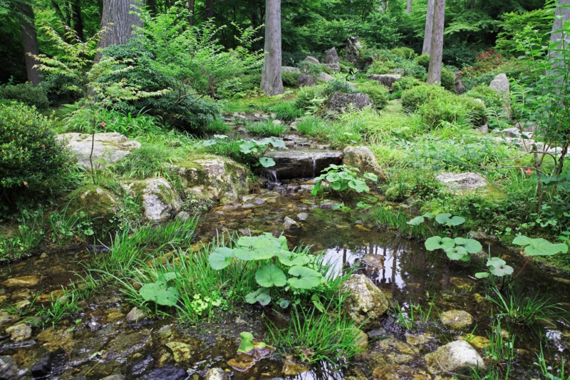 f:id:hiroshisj:20120702214215j:image f:id:hiroshisj:20120702214215j:image