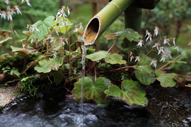 f:id:hiroshisj:20120702214259j:image f:id:hiroshisj:20120702214259j:image