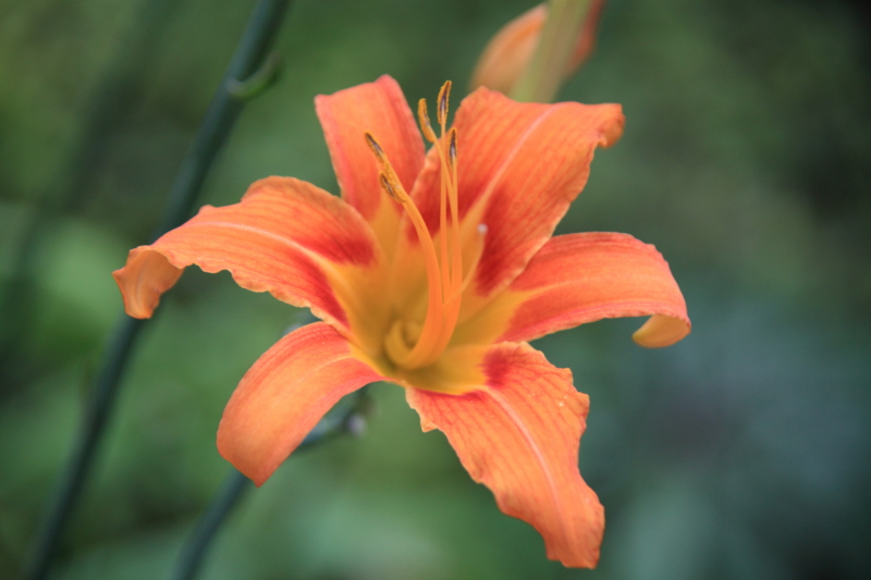 f:id:hiroshisj:20120707193159j:image