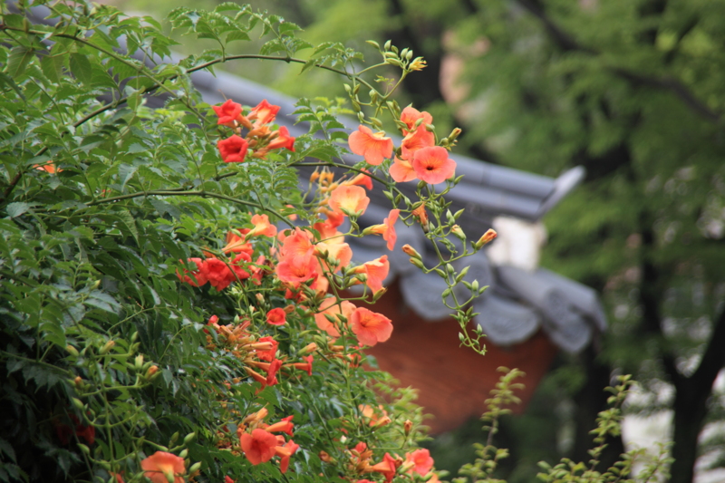f:id:hiroshisj:20120710145228j:image