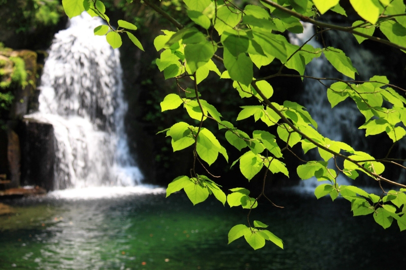 f:id:hiroshisj:20120726215840j:image