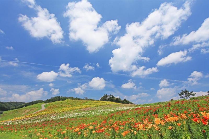 f:id:hiroshisj:20120730202746j:image f:id:hiroshisj:20120730202746j:image