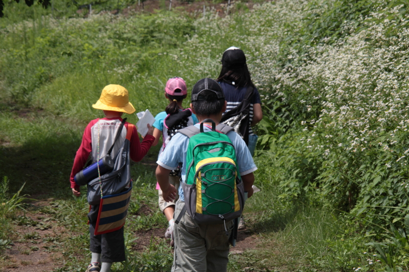 f:id:hiroshisj:20120813112720j:image