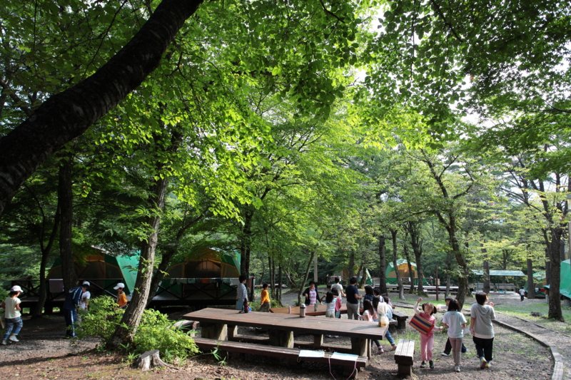 f:id:hiroshisj:20120813112745j:image