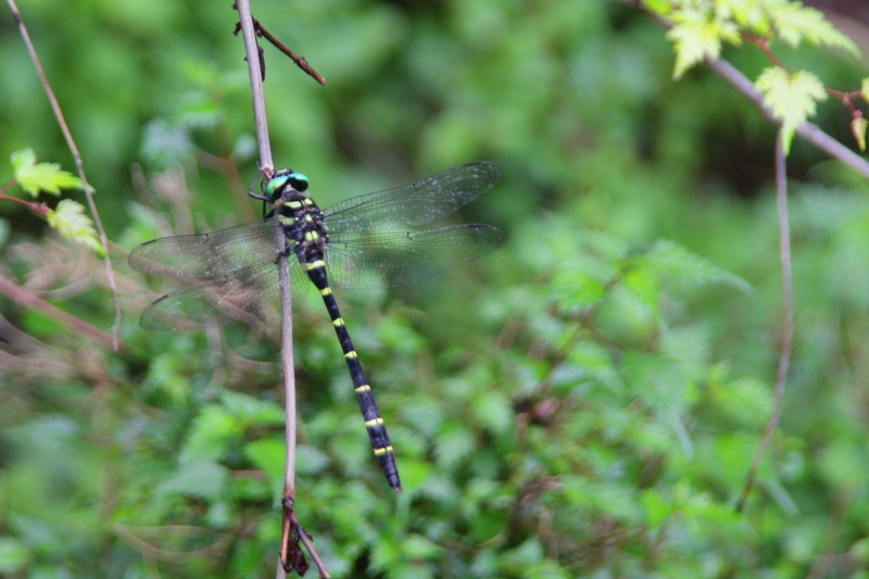 f:id:hiroshisj:20120818151528j:image