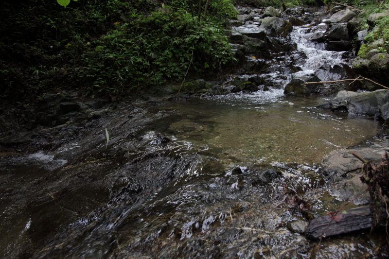 f:id:hiroshisj:20120818151609j:image