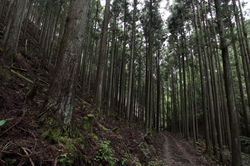 f:id:hiroshisj:20120818152129j:image