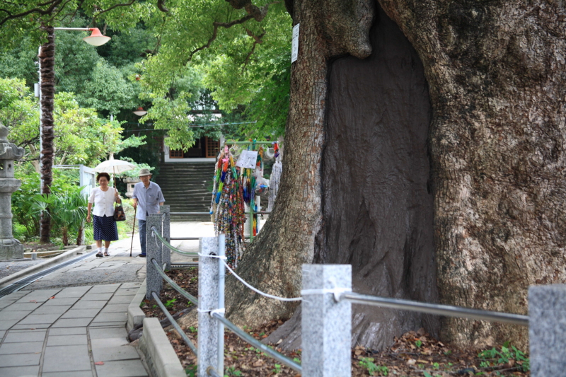 f:id:hiroshisj:20120823203549j:image