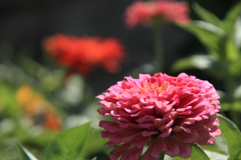 f:id:hiroshisj:20120828201734j:image f:id:hiroshisj:20120828201734j:image
