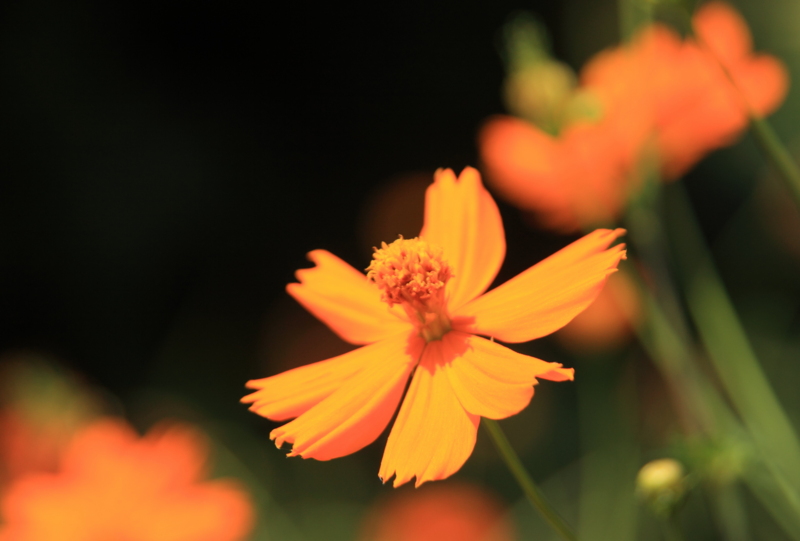 f:id:hiroshisj:20120828201756j:image f:id:hiroshisj:20120828201756j:image