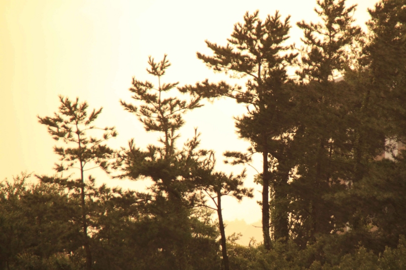 f:id:hiroshisj:20121001161834j:image