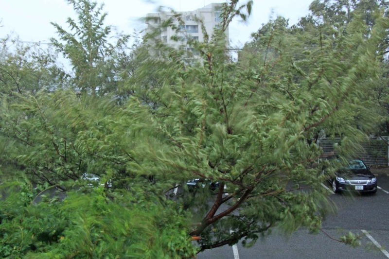 f:id:hiroshisj:20121001161854j:image