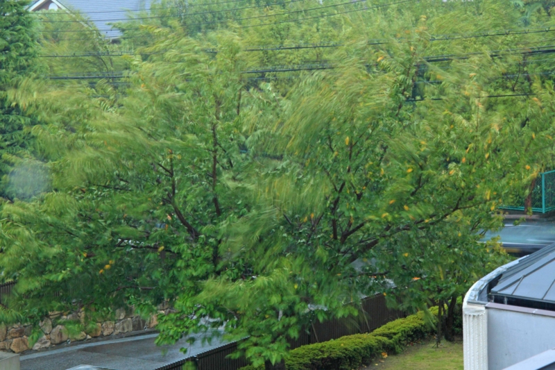 f:id:hiroshisj:20121001161940j:image