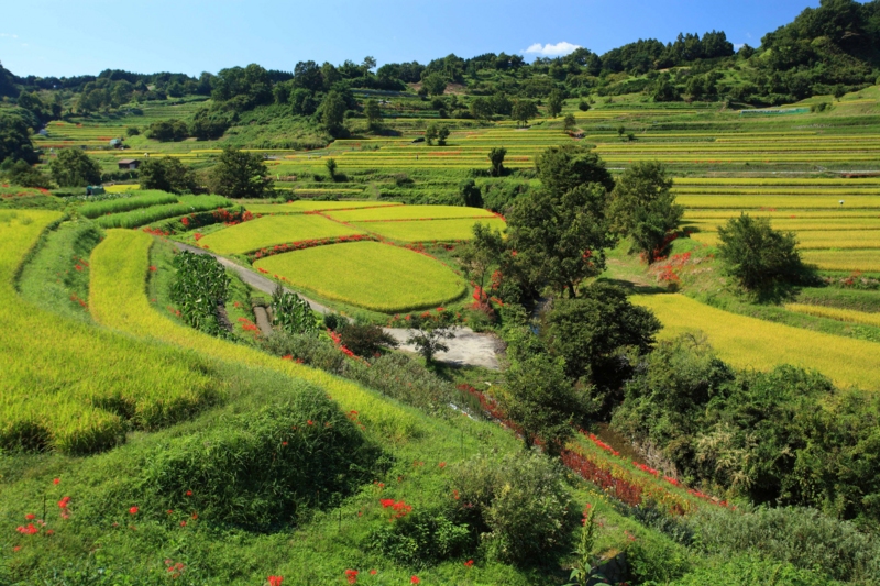 f:id:hiroshisj:20121006165301j:image