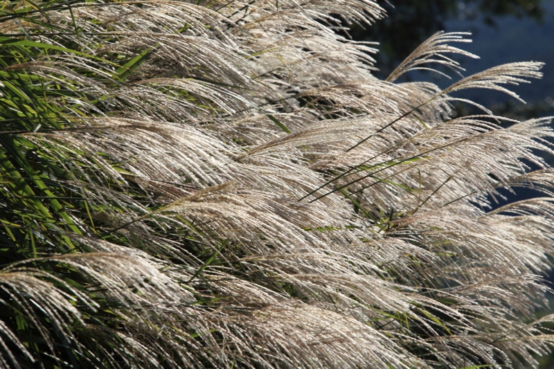 f:id:hiroshisj:20121007231716j:image f:id:hiroshisj:20121007231716j:image