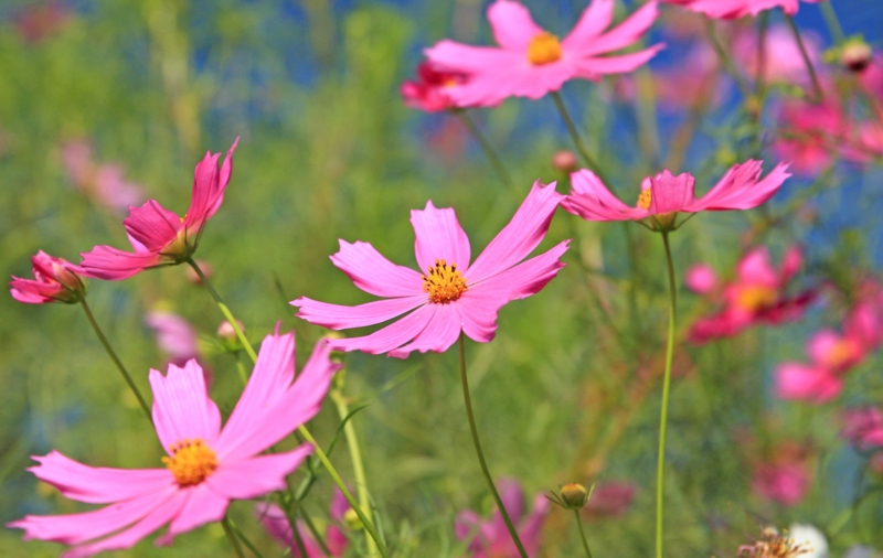 f:id:hiroshisj:20121007231742j:image f:id:hiroshisj:20121007231742j:image