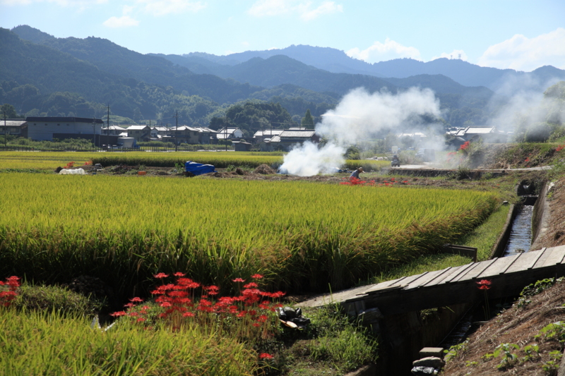 f:id:hiroshisj:20121007231758j:image f:id:hiroshisj:20121007231758j:image