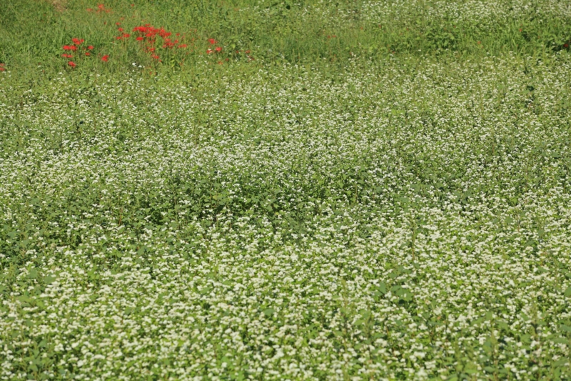 f:id:hiroshisj:20121007231825j:image f:id:hiroshisj:20121007231825j:image