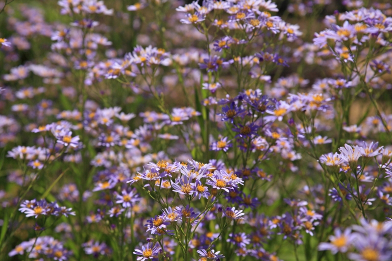 f:id:hiroshisj:20121007231918j:image f:id:hiroshisj:20121007231918j:image