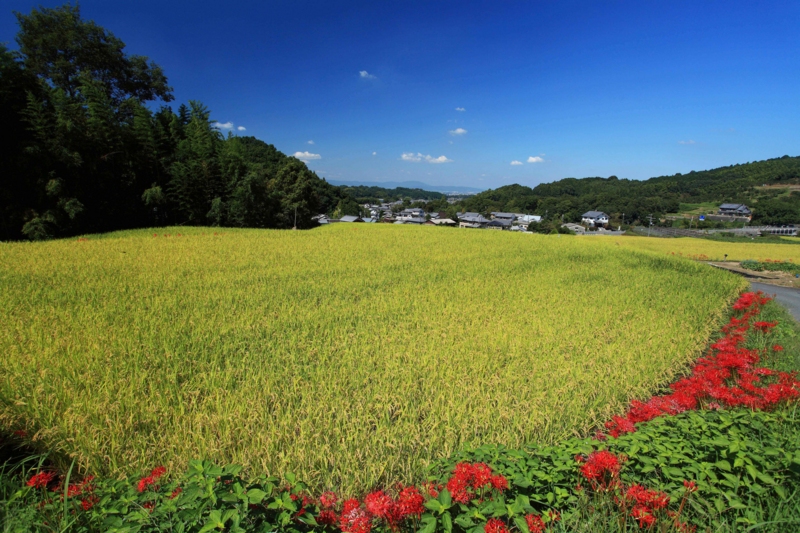 f:id:hiroshisj:20121007232028j:image f:id:hiroshisj:20121007232028j:image