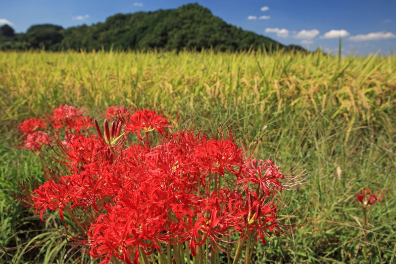 f:id:hiroshisj:20121007233626j:image f:id:hiroshisj:20121007233626j:image