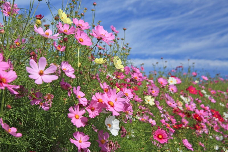 f:id:hiroshisj:20121011194338j:image f:id:hiroshisj:20121011194338j:image