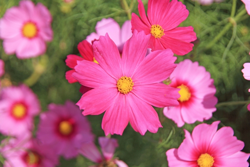 f:id:hiroshisj:20121011194359j:image f:id:hiroshisj:20121011194359j:image