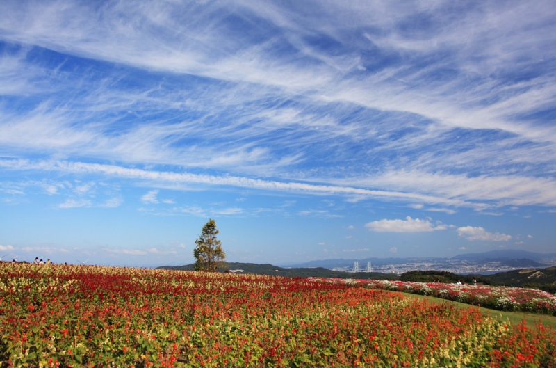 f:id:hiroshisj:20121011194506j:image f:id:hiroshisj:20121011194506j:image