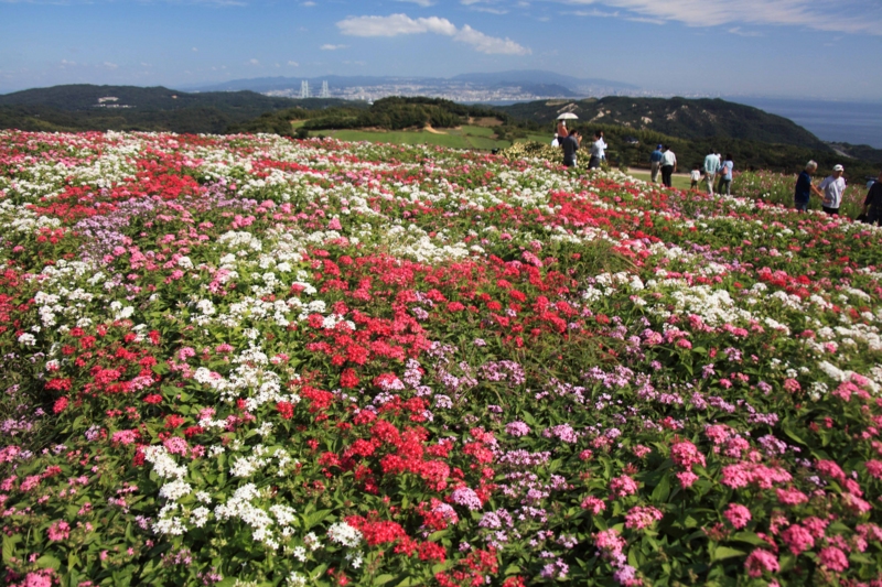 f:id:hiroshisj:20121011194538j:image f:id:hiroshisj:20121011194538j:image