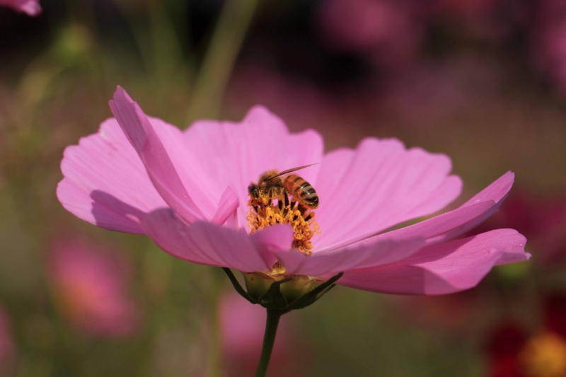 f:id:hiroshisj:20121014164500j:image f:id:hiroshisj:20121014164500j:image
