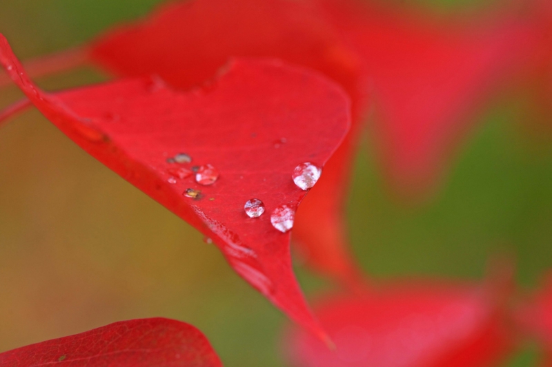 f:id:hiroshisj:20121029141450j:image f:id:hiroshisj:20121029141450j:image