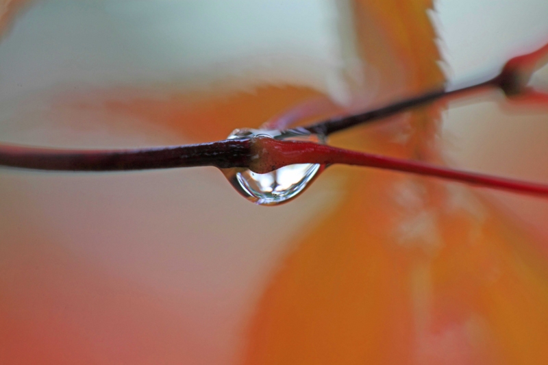 f:id:hiroshisj:20121029141532j:image f:id:hiroshisj:20121029141532j:image
