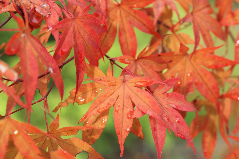 f:id:hiroshisj:20121029141611j:image f:id:hiroshisj:20121029141611j:image