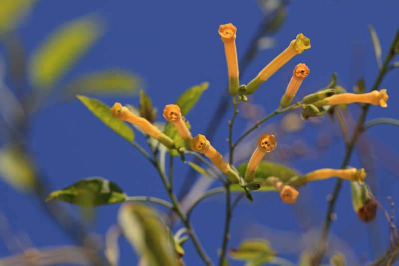 f:id:hiroshisj:20121029142649j:image f:id:hiroshisj:20121029142649j:image