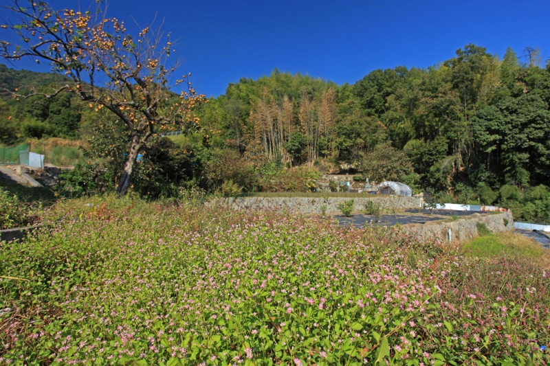 f:id:hiroshisj:20121031172609j:image
