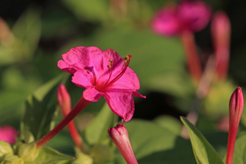 f:id:hiroshisj:20121031172959j:image