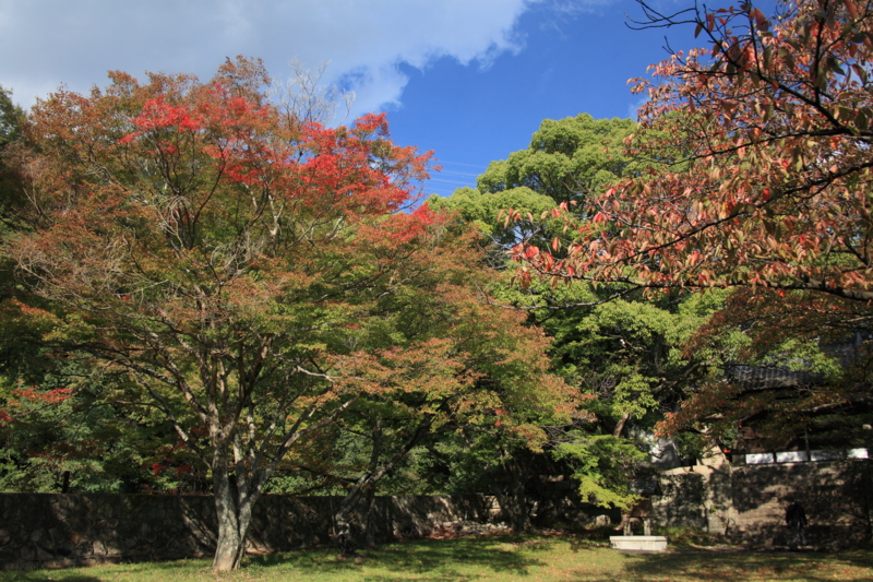 f:id:hiroshisj:20121107203910j:image
